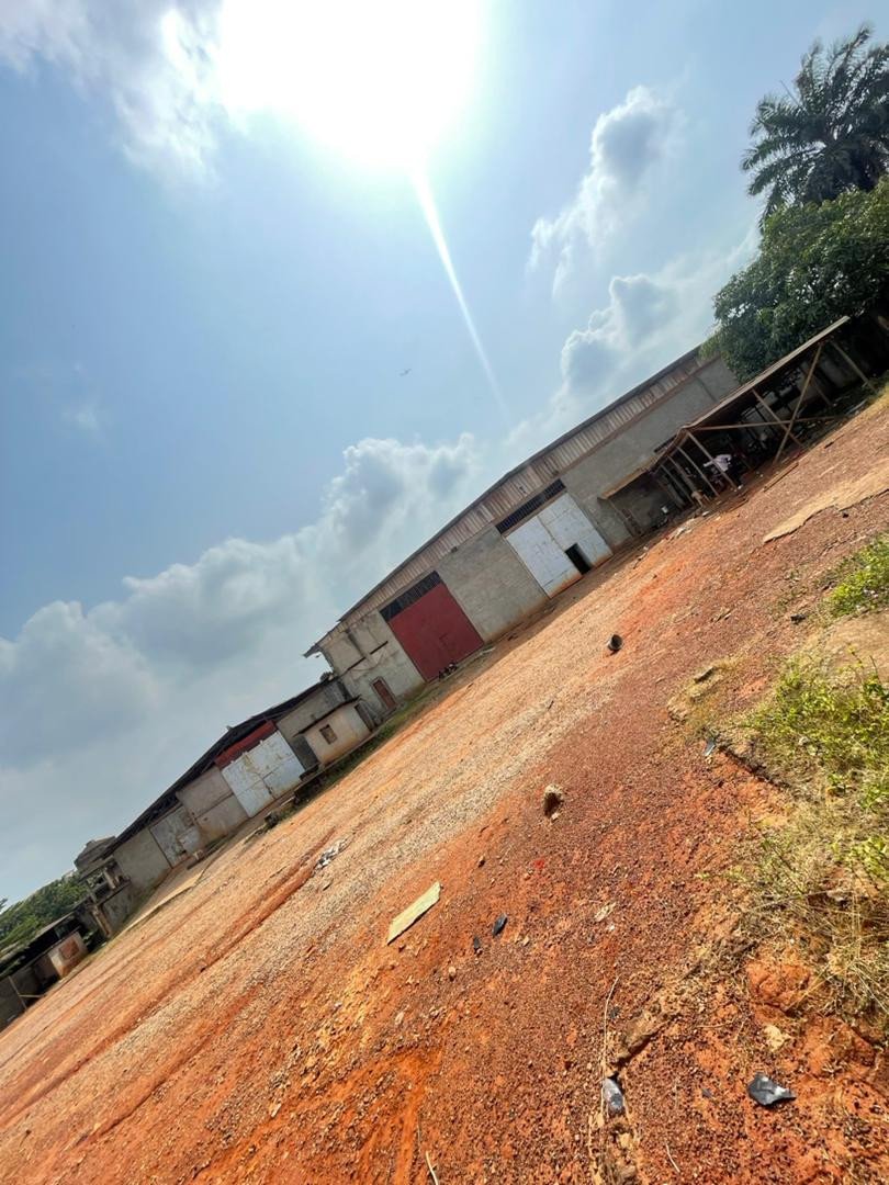 entrepôt a louer de 1.500 M2